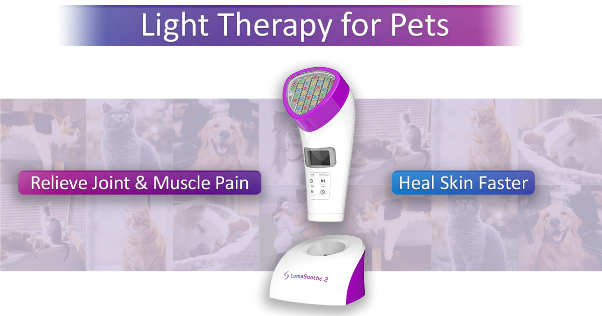 LumaSoothe Light Therapy For Pets LumaSoothe