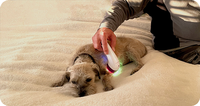 How to Use LumaSoothe 2 on Your Pet How to Use LumaSoothe 2 on Your Pet